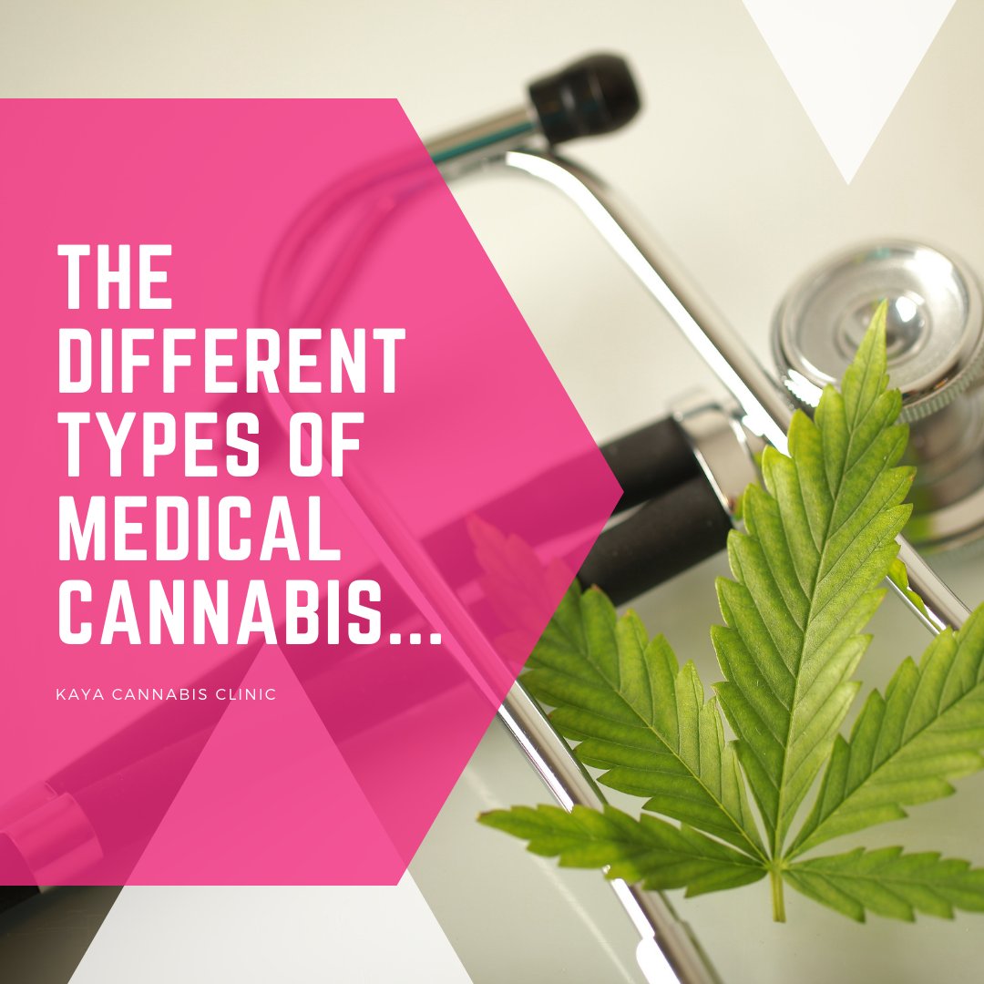 Health_Local's tweet photo. What are the different types of medical cannabis and what are they used for? Read this article by Kaya Clinics Medical to learn more: https://t.co/7c00n4fn7h

#mississauga #ontario #medicalcannabis https://t.co/WeEfg2PZhS