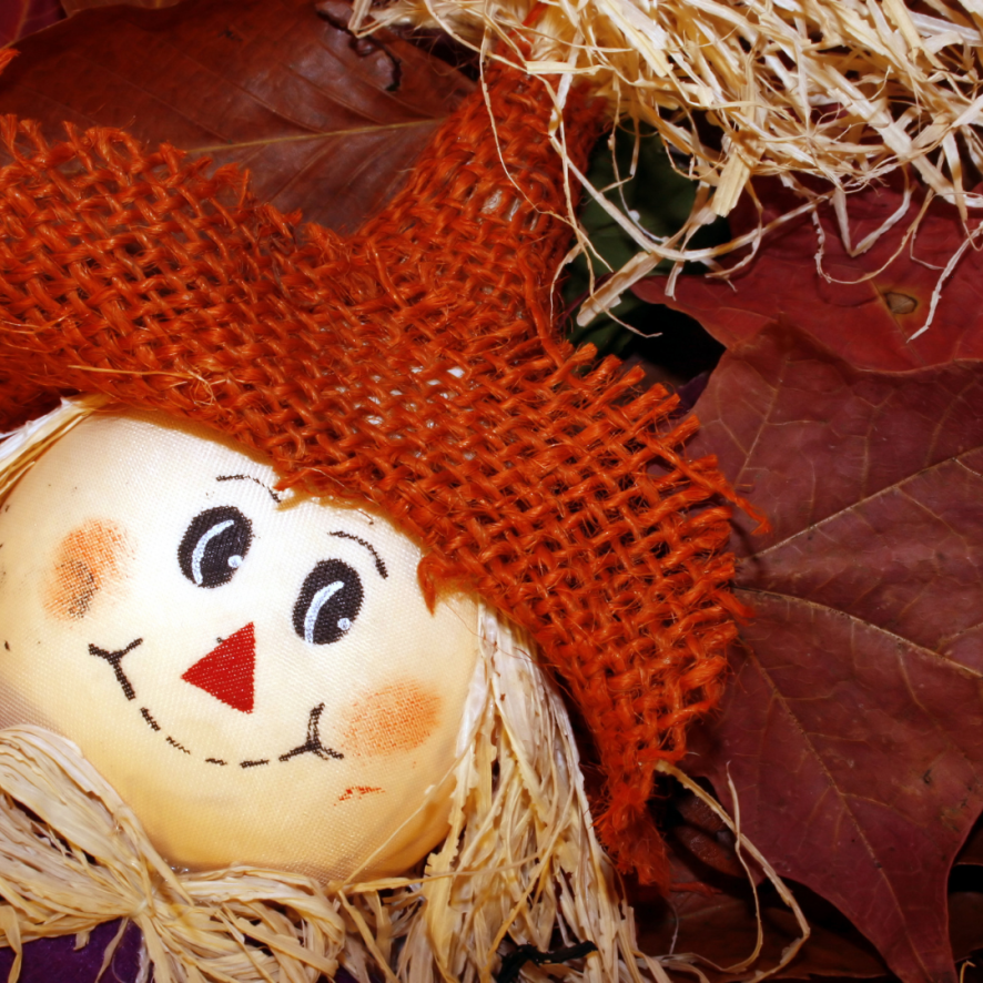 PurcellvilleTir's tweet image. Happy Hump Day, There is still plenty of time to jump into the autumn season with all of the must do fall activities.  Here are a ton of ideas to help get you over the Hump... 🍁 #AutumnActivities  #GetYouOverTheHump  #HappyHumpDay pbxx.it/H5VfDY