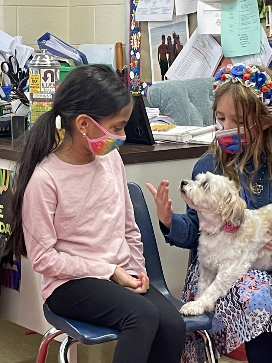 paliotta_s's tweet photo. A visit from Pumpkin, a therapy dog ❤️🐶 https://t.co/uLWGiQfx3X