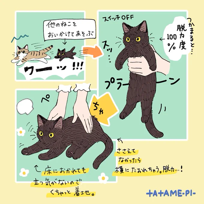 黒猫ちゃんプチ日記🐈‍⬛
#黒猫の日 
