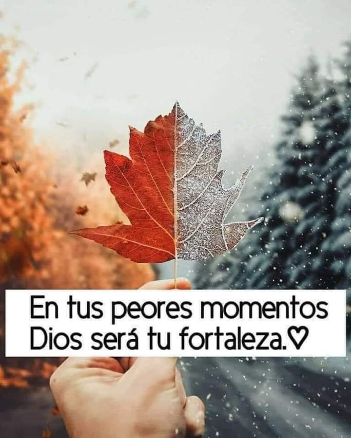 Edinson_ibanez's tweet photo. Salmos 46:1-3
[1]Dios es nuestro amparo y fortaleza,     Nuestro pronto auxilio en las tribulaciones.
[2]Por tanto, no temeremos, aunque la tierra sea removida, Y se traspasen los montes al corazón del mar. https://t.co/uUZuSN52s1