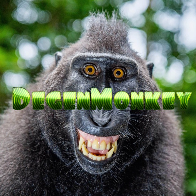 AltCryptoGems's tweet photo. ๐จ#ETH LAUNCH ANNOUNCEMENT! ๐จ
๐ #DEGENMONKEY ๐
โฐ Launching after 250 community members!
๐ฆ Monkey Play - 100% Community Owned!
๐ $30k (7 ETH) Starting Market Cap!
๐ฐOwnership will be renounced
๐Liq will be locked
๐ฌTG: https://t.co/OL2xpIsGkO
MOONSHOT! ๐
#DYOR - #NFA https://t.co/Si4mk8ZBY5