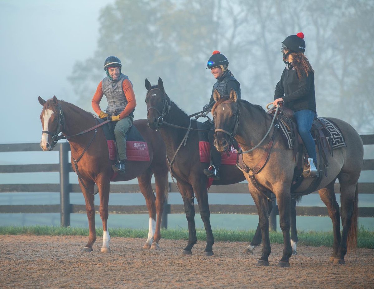 MargauxFarm's tweet photo. Having fun along the way! #breakingseason https://t.co/Q39Vvg2JkV