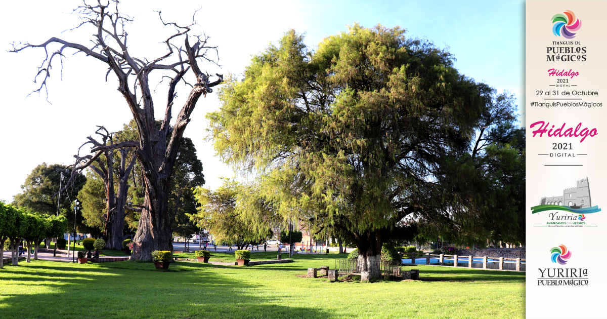 "una magnífica leyenda, Antón trombón, María Patueca y el niño perdido" siempre acompañando al Yuriria mágico. 
Insta:tianguispueblosmagicosoficial 
 <a href="/TPueblosMagicos/">Tianguis Pueblos Mágicos OFICIAL</a>  
facebook.com/TianguisPueblo… 
#TianguisPueblosMágicos
#YuririaPuebloMágico