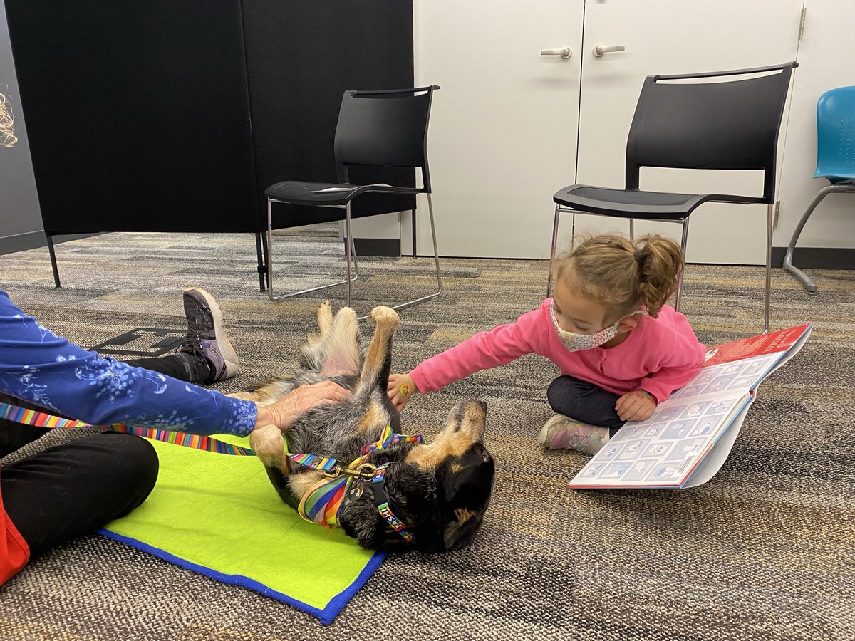 MaestraWinitz's tweet photo. Thank you so much, @lincolnwoodlib for the amazing opportunity to read to the therapy dogs yesterday! You guys work so hard to create the very best programming. We love Tashi!! https://t.co/q38xm1TW6s