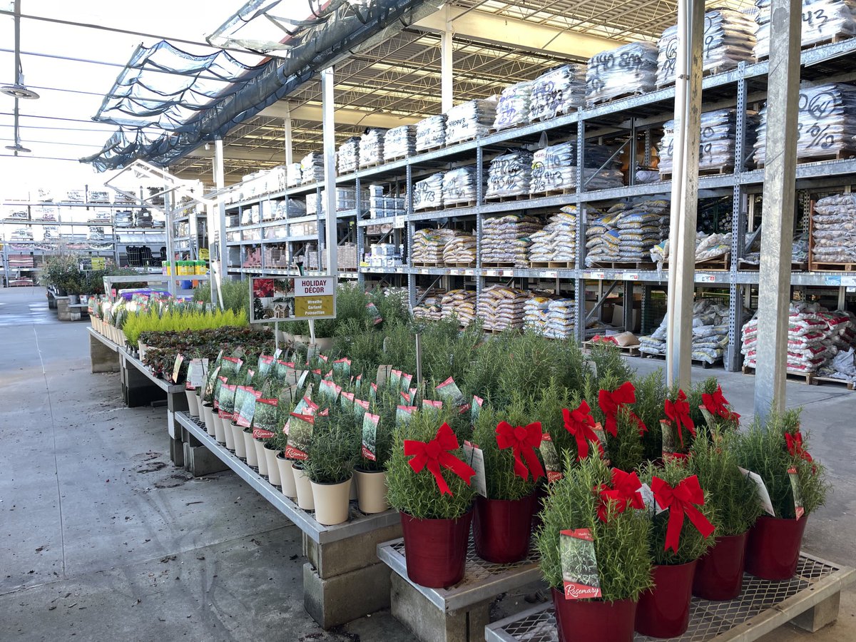 Lorrie Gallimore (@gallimorelorrie) on Twitter photo Holiday Rosemary is now available at your local Home Depot! <a href="/BaucomJbaucom/">Baucoms Nursery Co.</a> <a href="/ericbaucom/">Eric Baucom</a> <a href="/NealMattison/">Neal Mattison</a> <a href="/Pat_Fischetti/">Patrick Fischetti</a> Holiday Rosemary is now available at your local Home Depot! <a href="/BaucomJbaucom/">Baucoms Nursery Co.</a> <a href="/ericbaucom/">Eric Baucom</a> <a href="/NealMattison/">Neal Mattison</a> <a href="/Pat_Fischetti/">Patrick Fischetti</a>