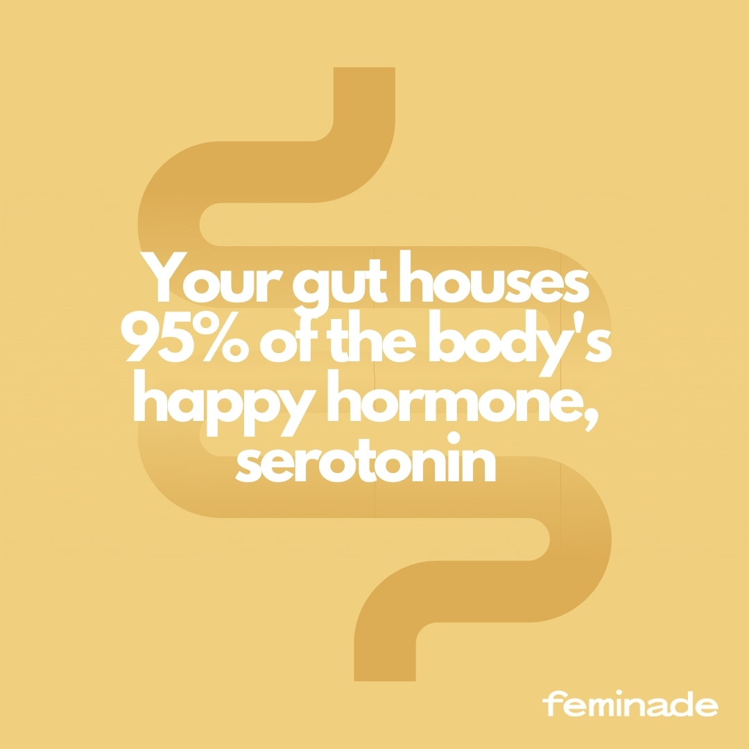 Serotonin is the 🔑 hormone that stabilizes our mood, feelings of well-being, and happiness. 😁 Remember, FOOD affects your MOOD! #serotoninboost #guthealth #mindgutconnection