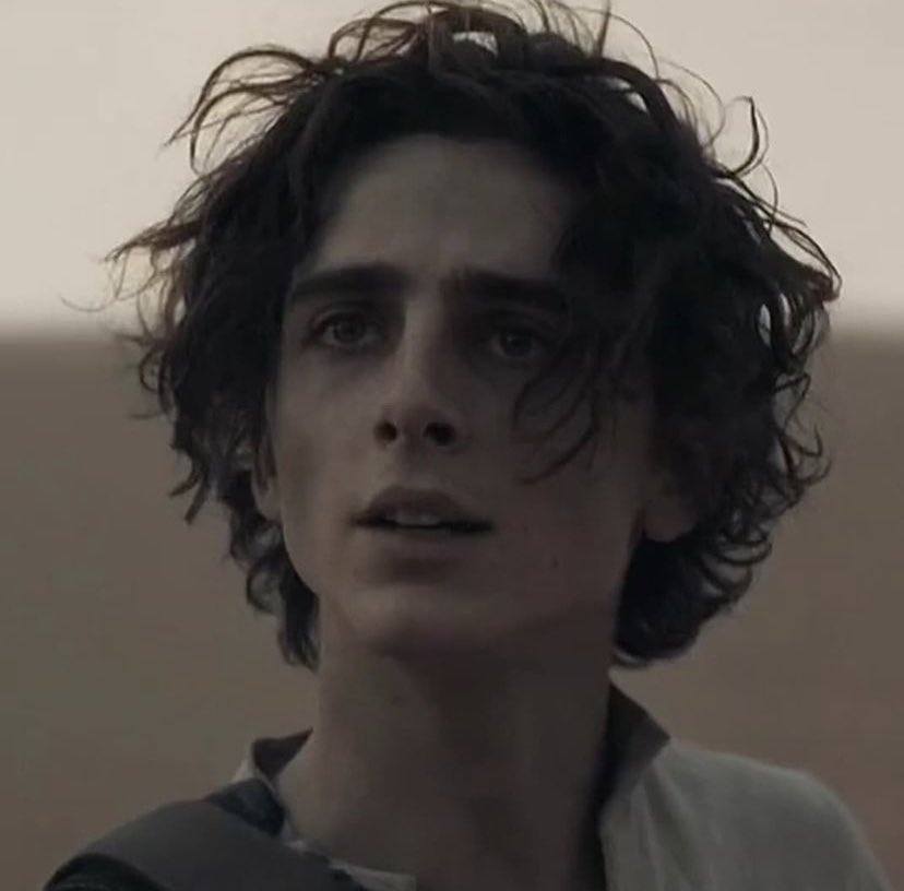 musetta - timothée chalamet daily on Twitter: musetta - timothée chalamet daily on Twitter:
