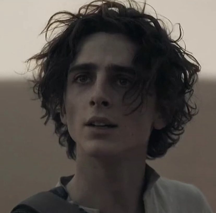 musetta - timothée chalamet daily on X: timothée chalamet's hair