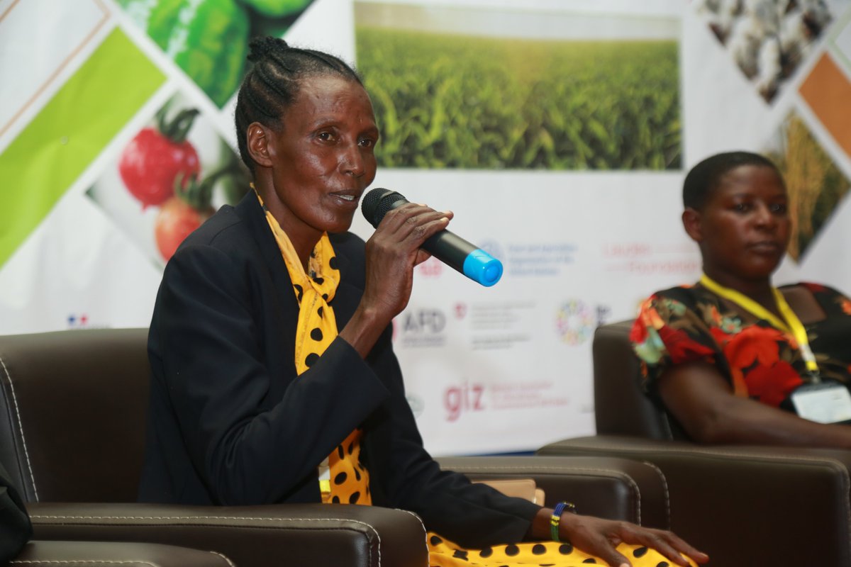 KilimohaiC's tweet photo. Picha za baadhi ya wakulima na wafugaji waliohudhuria Kongamano la Kilimo Ikolojia wakitueleza kwanini waliamua kuachana na Kilimo cha kisasa chenye kutumia madawa na kemikali nakujikita katika Kilimo Hai kinachotumia mbinu za kiasili kurutubisha ardhi na kupambana na wadudu. https://t.co/c2WrUsdkmm