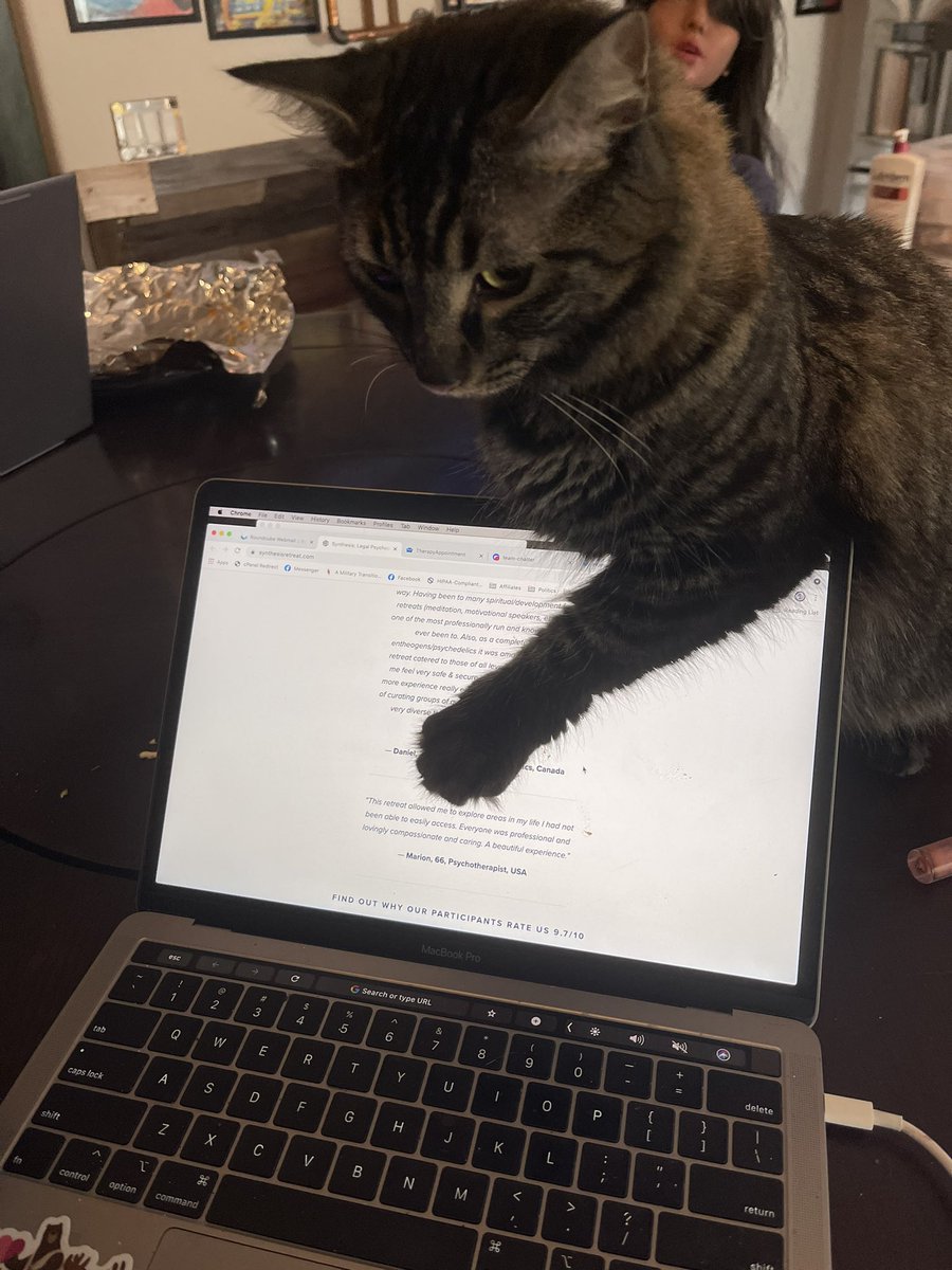 HarmonyUsInc's tweet photo. @DrNurseGuy #shoggath says touching a warrior godlike feline is 100% effective for mood improvement. We have the data #science #KeepHumansHome #PetCabal #CatsOfTwitter https://t.co/UhOuNps0SE
