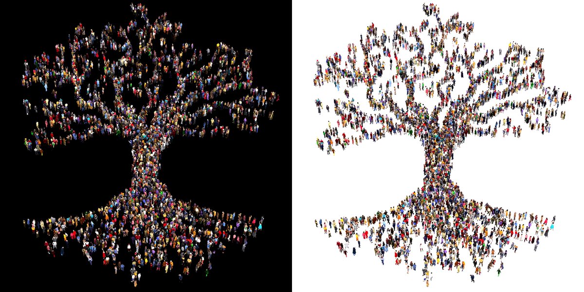 Clipping Path Service | Color Experts India
Contact: mamuncolorexperts.in@gmail.com
#clippingpathservise #productclippingpath #modelclippingpath #imageclippingpath #jewelryclippingpath #colorexpertsindia #photographer #editorialphotography #adobephotoshop.