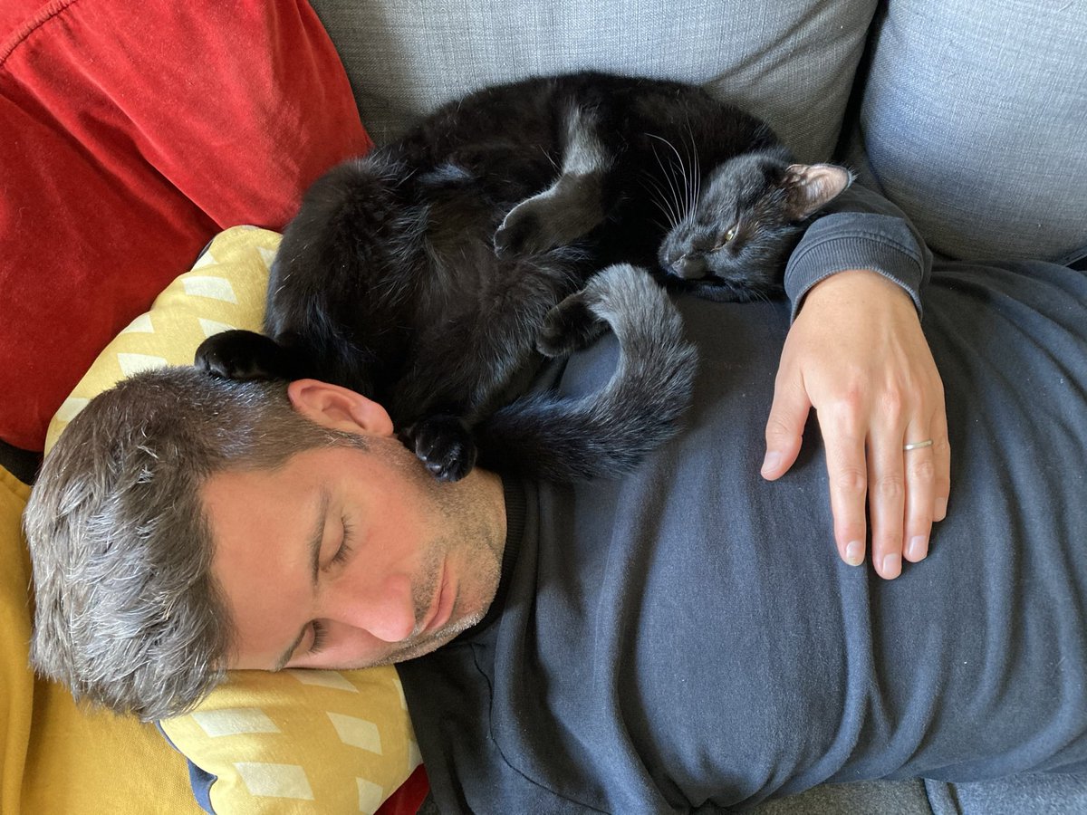 ClarissaBee tweet media