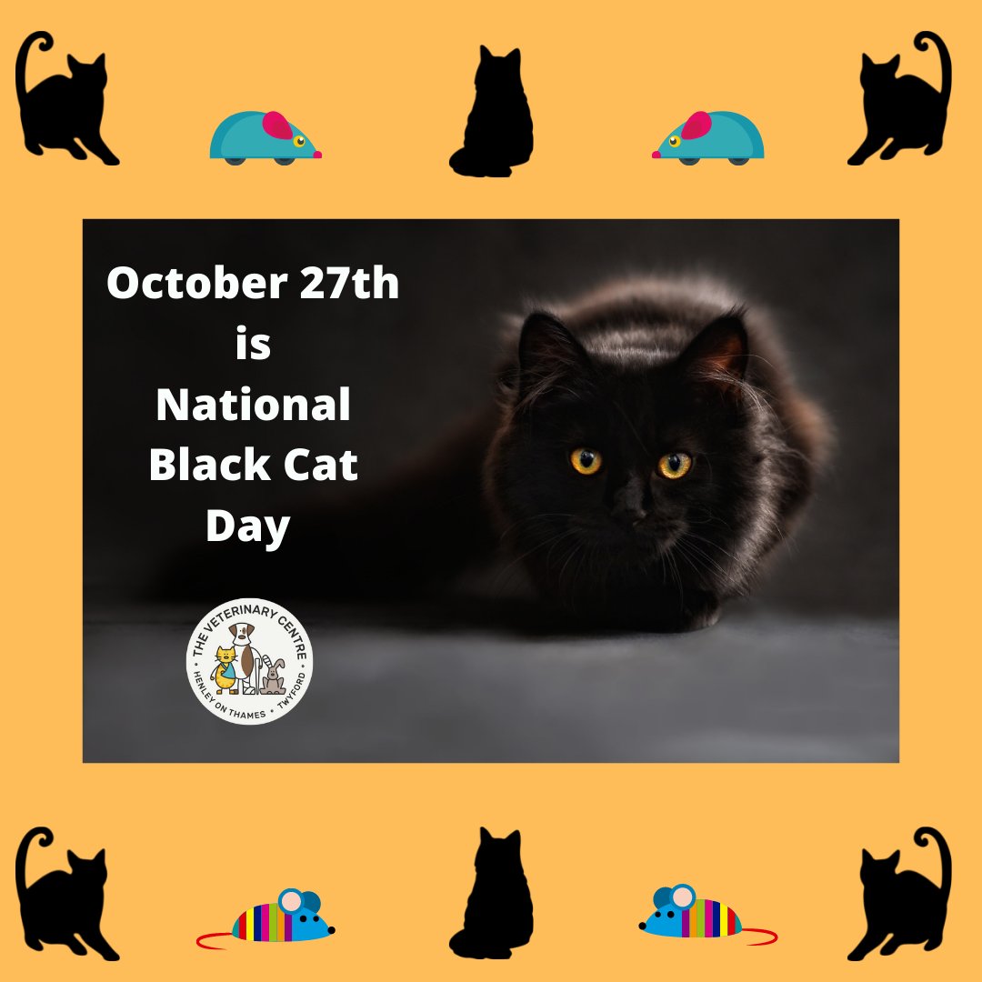 henleyvets's tweet photo. It's National Black Cat Day πββ¬π€.
To celebrate, we'd love you to share your fav pics of your black cats with us below β€
#NationalBlackCatAppreciationDay #nationalblackcatday #blackcatsofinstagram #BlackCatsOfTwitter #localveterinarypractice #henleyonthames #twyfordberkshire https://t.co/BWICVVvfRg