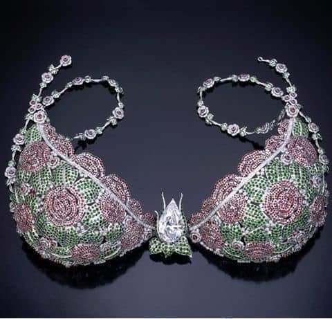 Most Expensive Bra