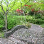 日本庭園情報メディア『おにわさん』-The Japanese Gardens-のツイート画像