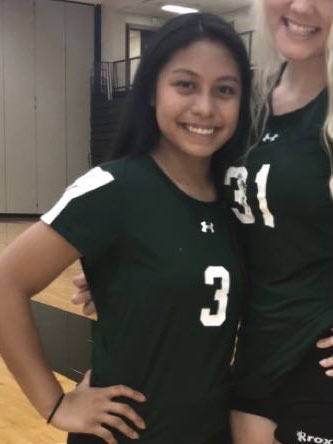 N2SportsStaley's tweet photo. Looking back at our @staleyfalconvb girls from their freshman year to senior year!!💚@NKCSchools @SHSFalcons https://t.co/DdSaxUB6OY