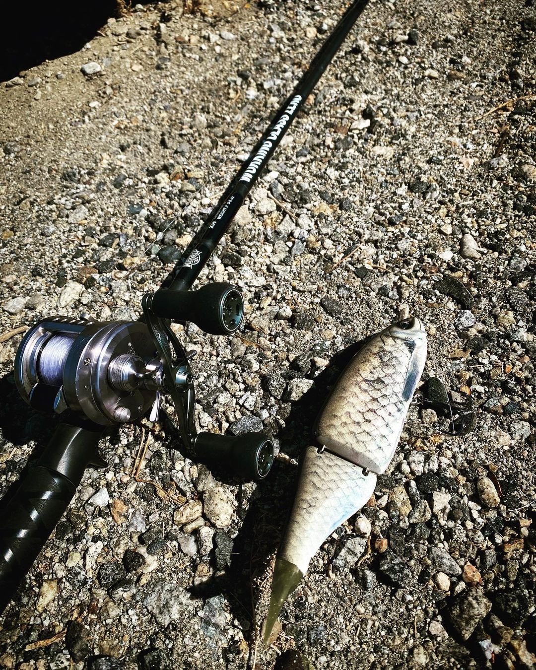 Low Down Customs on X: (swimbait setup) - Shimano Conquest 200 DC