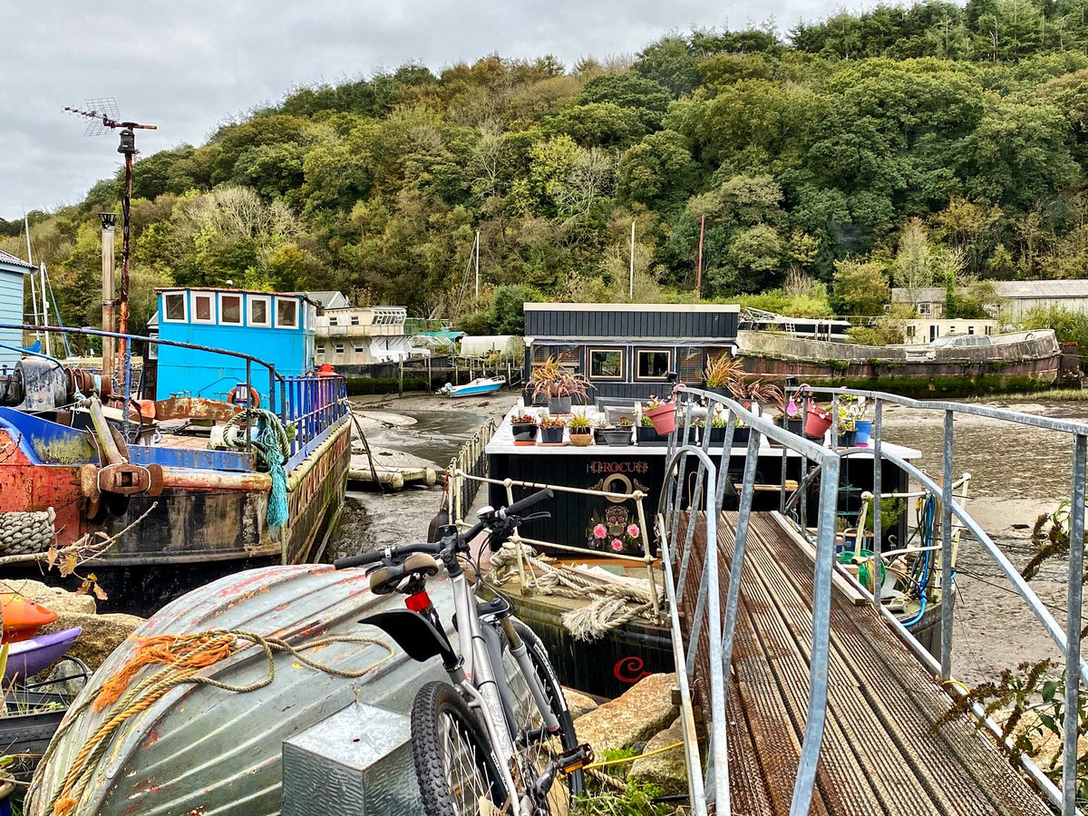 Lizard Hol Cottages tweet media