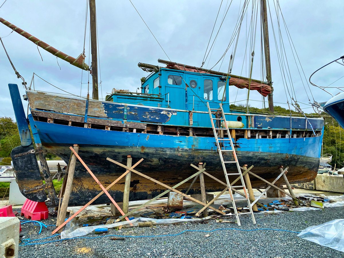 Lizard Hol Cottages tweet media