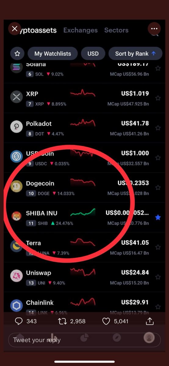 vipcryptonews's tweet photo. Retweet If You Want $Shib To Flip $Doge!!🔃💯🚀 https://t.co/NUQVCZDIh6