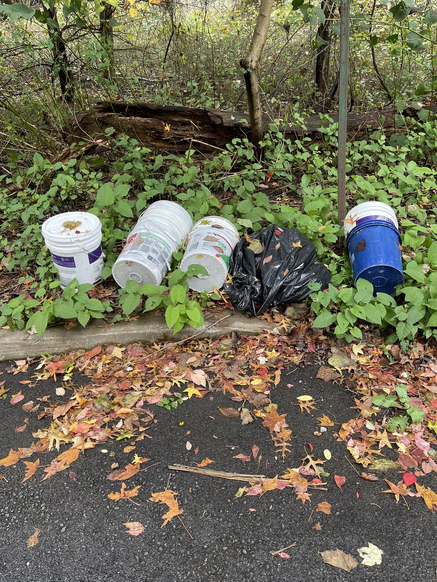enzointhecity's tweet photo. @nyc311 it’s disgusting the amount of trash people leave along London road on their way to the golf course, but this dumping is too much. Please send someone to remove. Thank you https://t.co/IihgBLJM1W