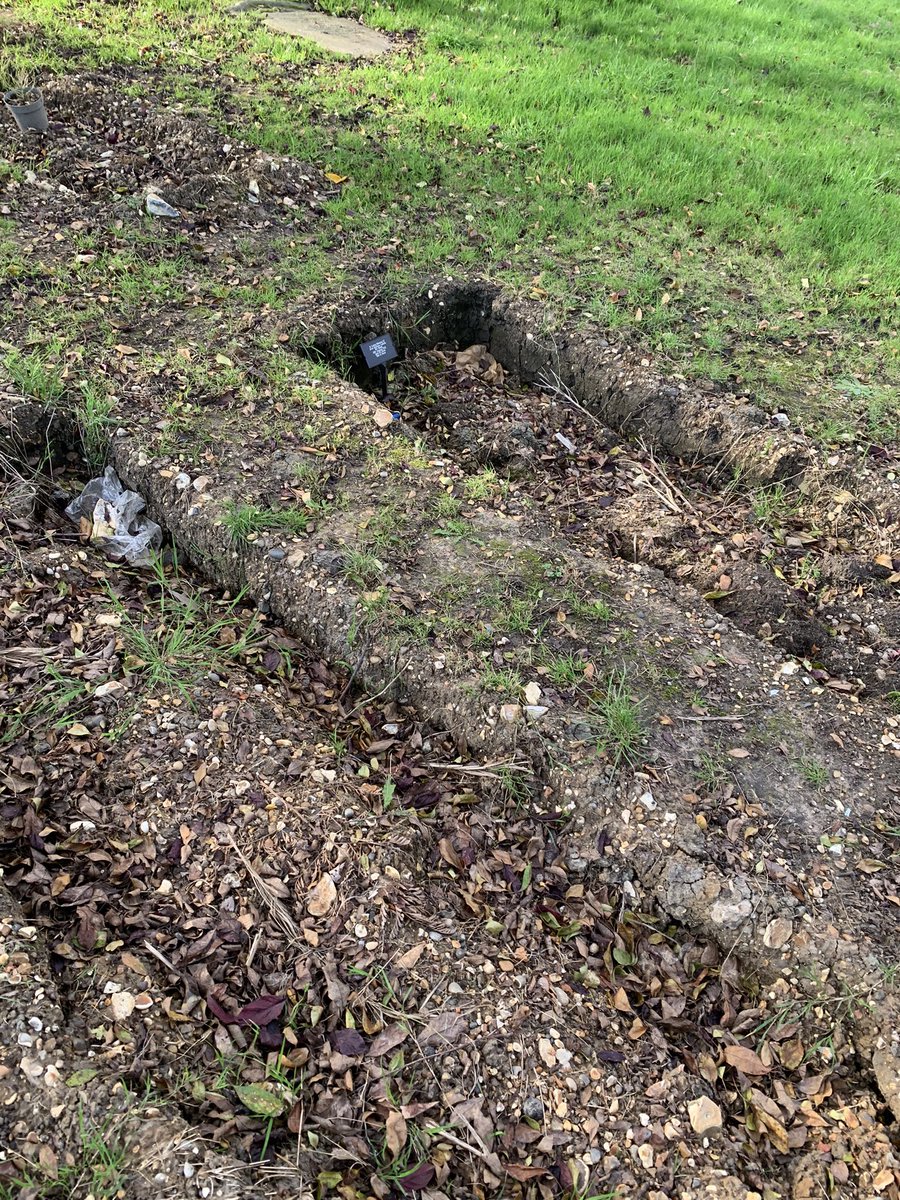 vicksdavid's tweet photo. @lambeth_council tweet 2 of 2: when there’s a chance at some point that their coffins will be on show. Sort it out. It’s not a nice place to visit and it should be https://t.co/9IsLX9MGnS