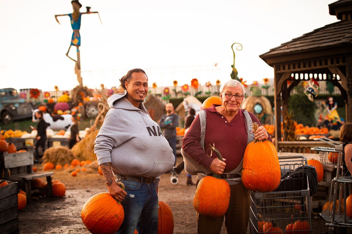 All–you–can–carry pumpkins is back for Halloween! 🎃

How many can you take home this Sunday? buff.ly/2MPweez