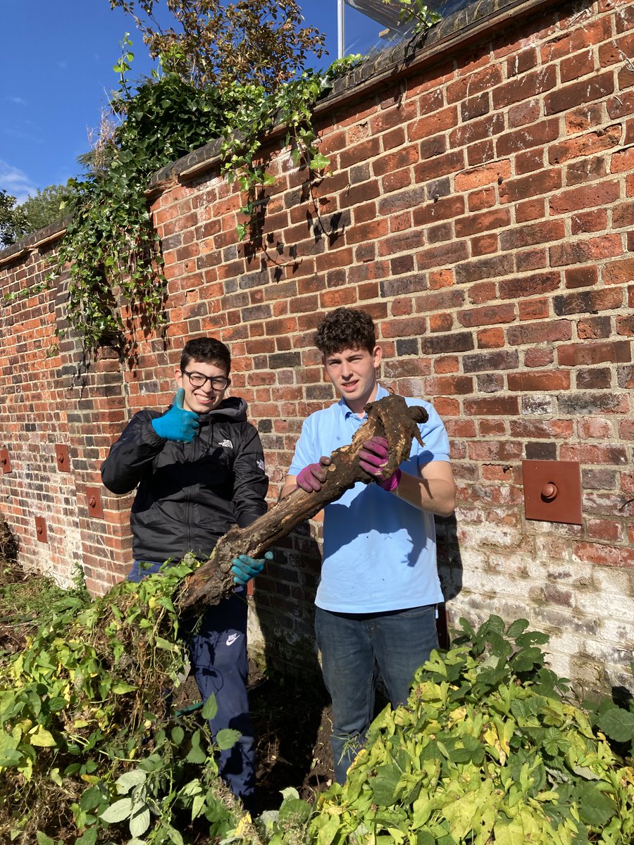 "The Earth is what we all have in common"

A group Y12 pupils have been working on the <a href="/UCSHampstead/">UCS Hampstead</a> allotment ensuring that we maintain a little green space here in NW3.