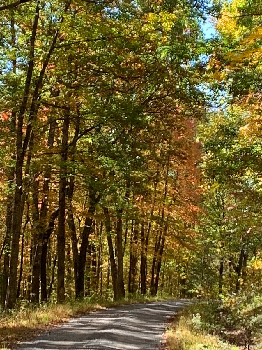 GWJNF's tweet photo. #FallintoAdventure by taking a long walk, going on a hike, or planning aย camping trip this weekend to see these *unbe-leaf-able* displays of fallย foliage for yourself. The barrage of orange, yellow, red and browns willย make you wish it could be autumn all year-round. https://t.co/et5jA3dpBT