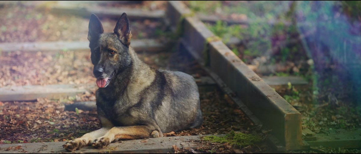 _jaymilk_'s tweet image. ตัวละครลับคนนั้นคือใครคะ555 อวยยศเอ็มวีหน่อยคับ ดีงามมากแงงง ดูหนังเรื่องหนึ่งเลย

FROST MV OUT NOW
#TXT_Frost #TheStarSeekers