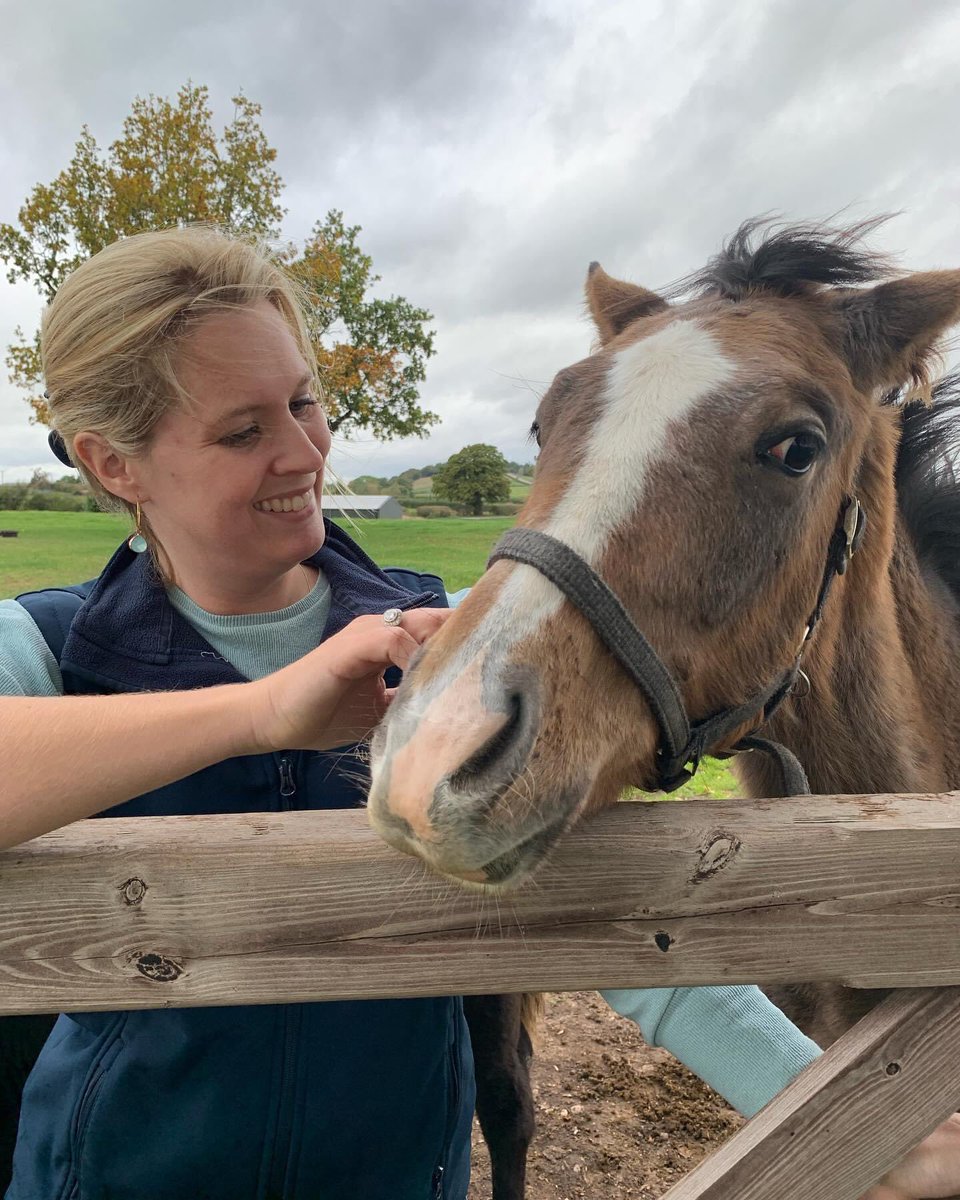 Alneparkstud's tweet photo. Cheeky fillies everywhere! Not sure these weanlings quite understood the concept of a head shot. One for the LinkedIn profile @GracieB1986 ? #alneparkstud #weanlings #happyhorses #foalsofinstagram #wellhandled https://t.co/5CwQG2xPeT