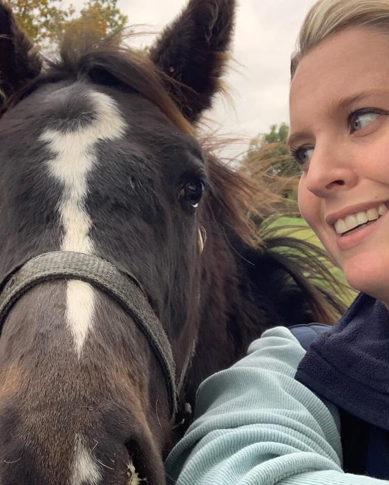 Alneparkstud's tweet photo. Cheeky fillies everywhere! Not sure these weanlings quite understood the concept of a head shot. One for the LinkedIn profile @GracieB1986 ? #alneparkstud #weanlings #happyhorses #foalsofinstagram #wellhandled https://t.co/5CwQG2xPeT