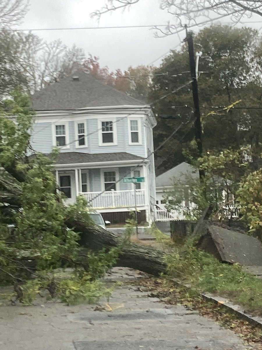 radiochick81's tweet photo. Don’t think I’ve EVER seen an uprooting like this! Ellerton St in Quincy. @wbz @wbznewsradio #stormcenter #noreaster #MAweather https://t.co/RLh7vrRW5E