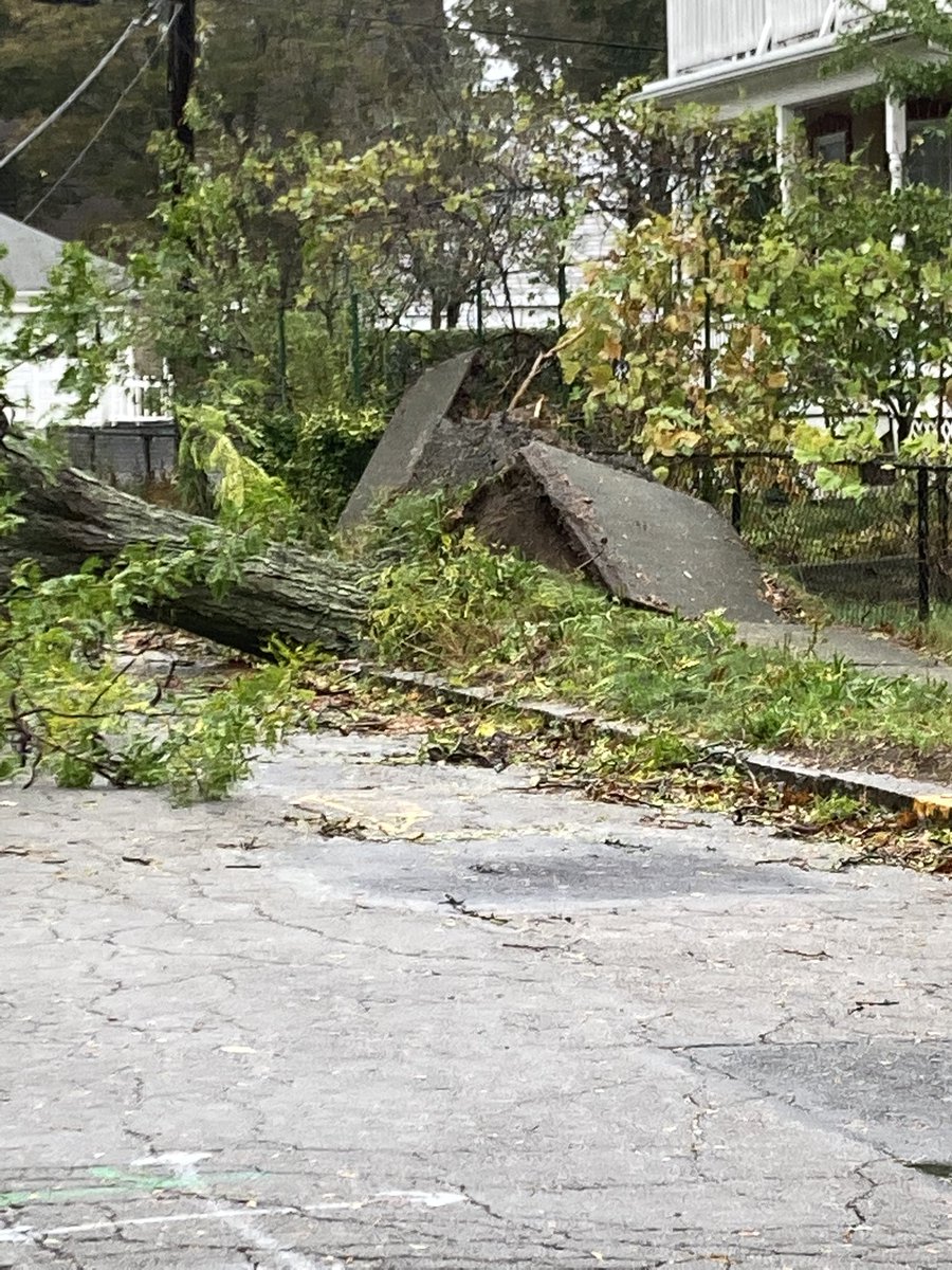 radiochick81's tweet photo. Don’t think I’ve EVER seen an uprooting like this! Ellerton St in Quincy. @wbz @wbznewsradio #stormcenter #noreaster #MAweather https://t.co/RLh7vrRW5E