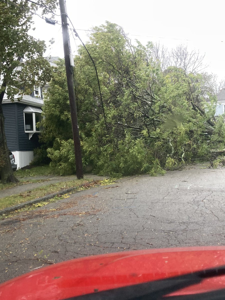 radiochick81's tweet photo. Don’t think I’ve EVER seen an uprooting like this! Ellerton St in Quincy. @wbz @wbznewsradio #stormcenter #noreaster #MAweather https://t.co/RLh7vrRW5E