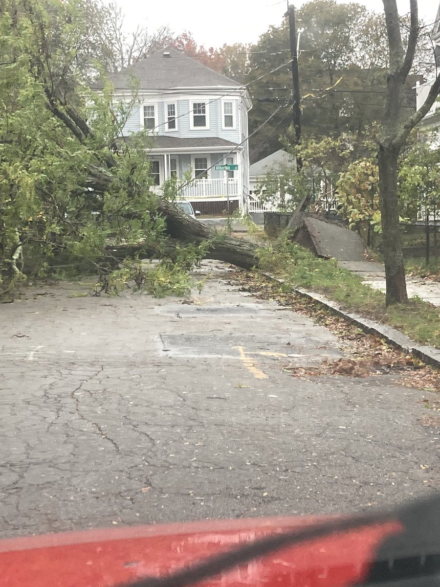 radiochick81's tweet photo. Don’t think I’ve EVER seen an uprooting like this! Ellerton St in Quincy. @wbz @wbznewsradio #stormcenter #noreaster #MAweather https://t.co/RLh7vrRW5E