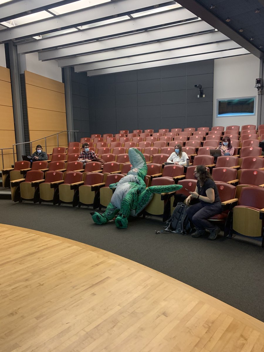 jackie pelham tweet media