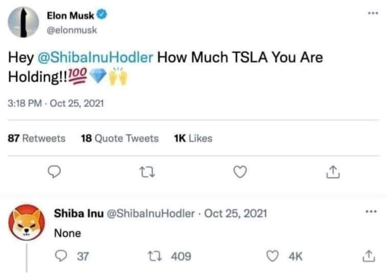 ShininDown's tweet photo. @Shibtoken https://t.co/ZWJnBbDVzx