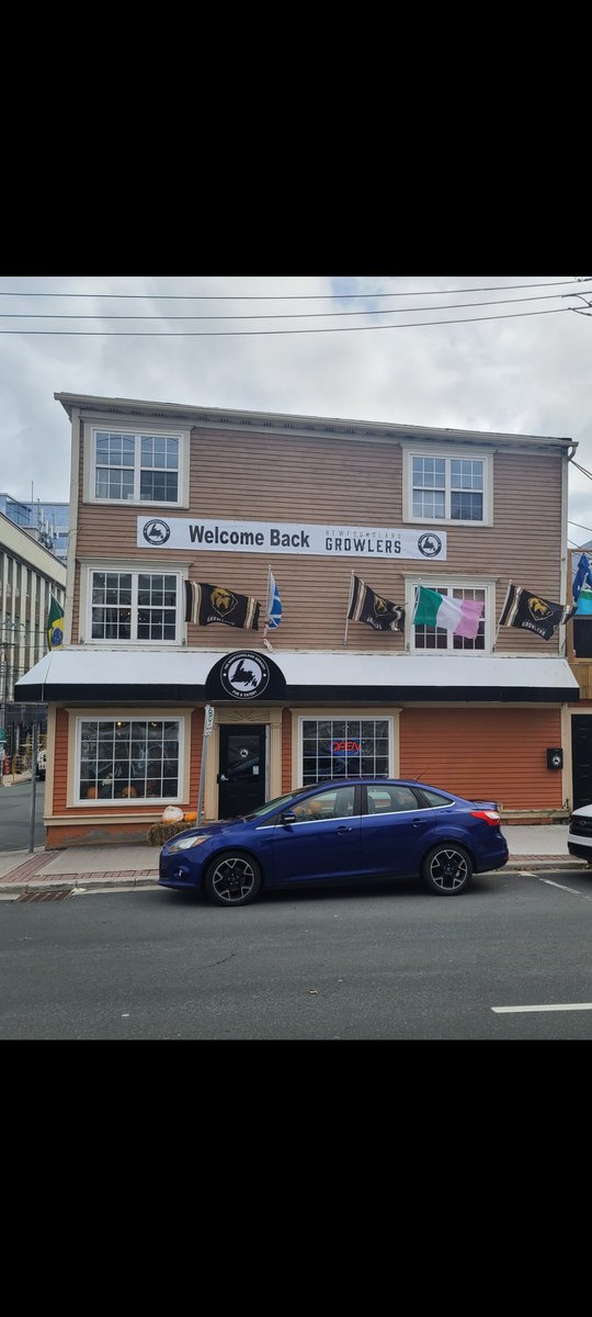 thenlembassy's tweet photo. Our banner and flags are flying strong today for the @NLGrowlers. A very dark day for sports in our City. In the midst of a global pandemic our City has not stepped up to help local businesses. Today feels like putting the nails in a coffin. What have you done @CityofStJohns ?! https://t.co/MqDw0iRQks