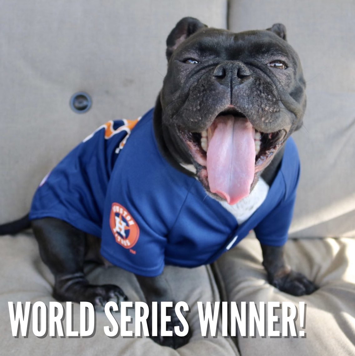 Congratulations to <a href="/ashleemarieee88/">Ashlee Hull</a> you are going to Game 2 of the World Series at Minute Maid Park to watch the Astros take on the Braves!
