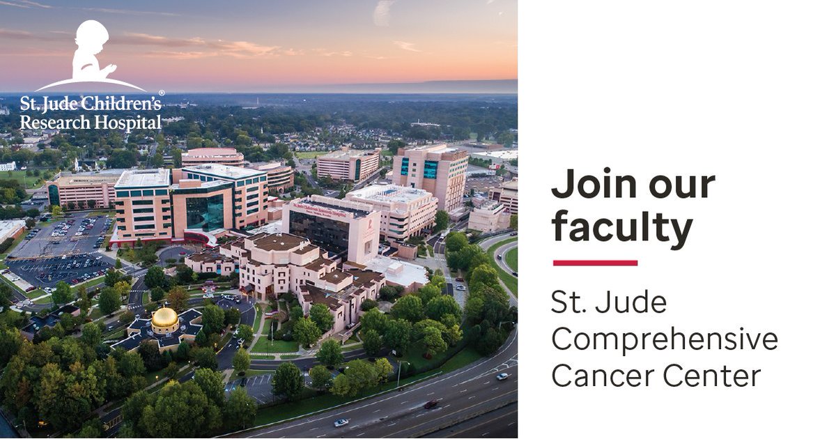 Join us! St. Jude is recruiting multiple lab-based faculty at the full, associate and assistant levels in a major expansion of our basic and translational cancer-focused research programs. #cancerresearch #facultyjobs @stjuderesearch stjude.org/cancer-center-…