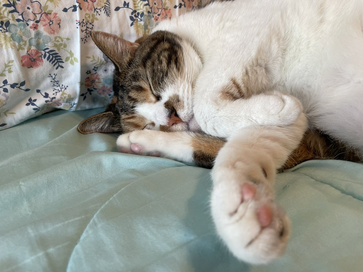 Snoozing!
