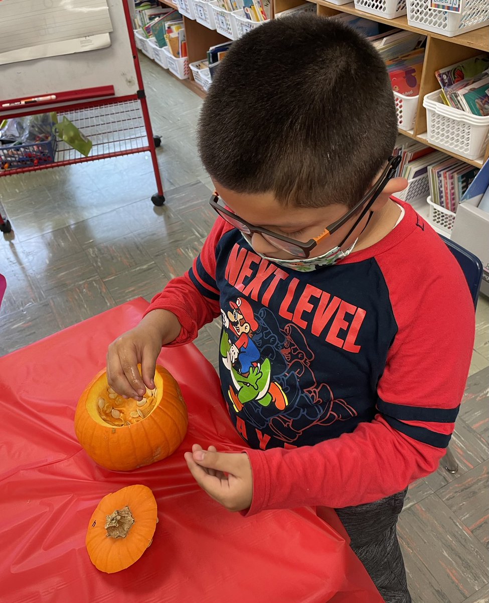 We observed pumpkins using our five senses! 🎃 #dpsdny #dpENL