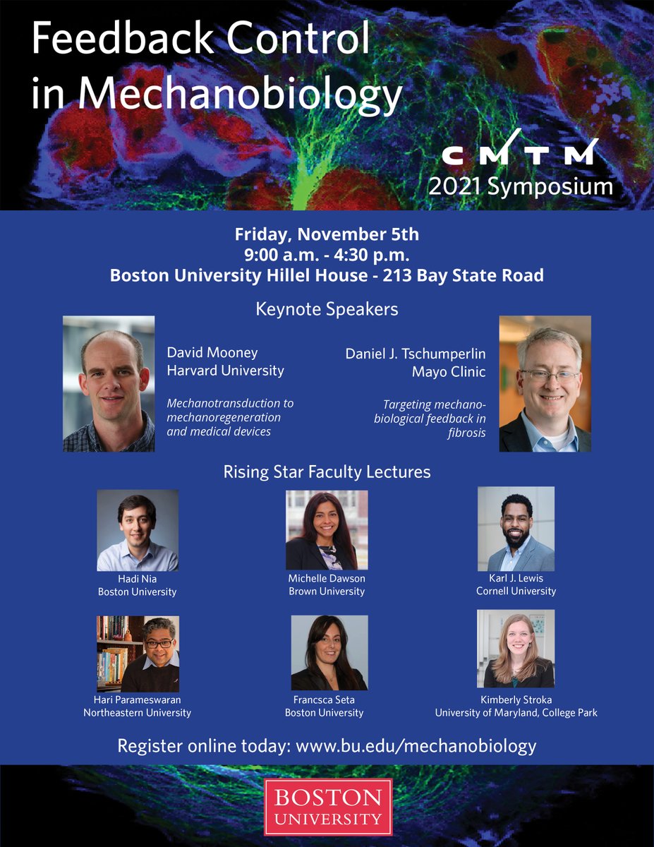 Register today for our 2021 Symposium to see talks by Rising Star Faculty <a href="/hadi_nia/">Hadi T. Nia</a>, <a href="/DawsonStemCell/">Michelle R Dawson</a>, <a href="/karl_j_lewis/">Karl Lewis, PhD</a>, <a href="/LabBreathe/">Hari Parameswaran's lab at NU</a>, <a href="/StrokaLab/">Kimberly Stroka</a>, and Francesca Seta!  

bu.edu/mechanobiology…

#Mechanobiology #RisingStars #AcademicTwitter