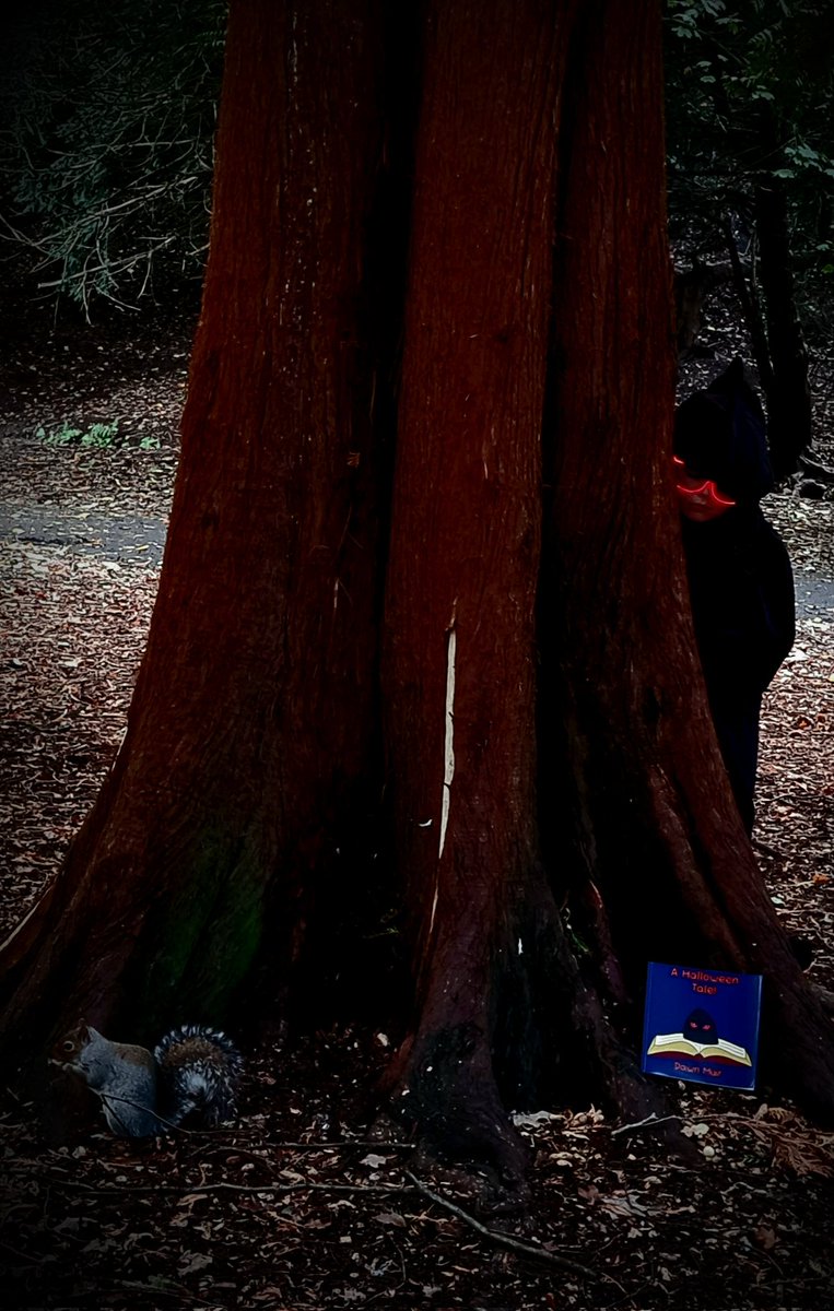 dawnmuirauthor's tweet photo. Have you heard of the Brollachan?
A Halloween Tale is now available to purchase through Amazon.
#dunfermline #Halloween #thebrollachan #ahalloweentale #pittencrieffpark #halloweenstory #PictureBooks #indieauthor https://t.co/MBjSDVGKcd