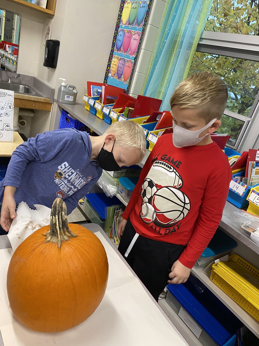 mrshhewitt's tweet photo. “How to” writing project:  How to Carve a Pumpkin https://t.co/B5AtfcrLBr