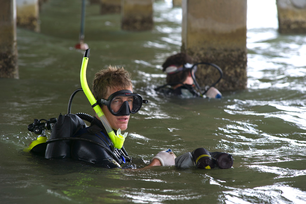 TAMU-CC COSE tweet media