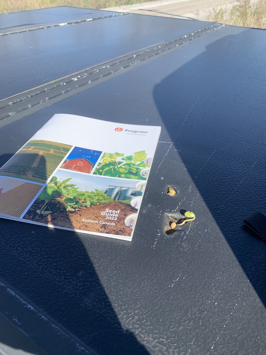 Rain, Sun, wind, plastic, even a frost, <a href="/Prograin_inc/">Prograin</a> soybeans can grow anywhere apparently. <a href="/PrograinMarc1/">Marc Saumure</a> #resilience #soybeans #grow2021