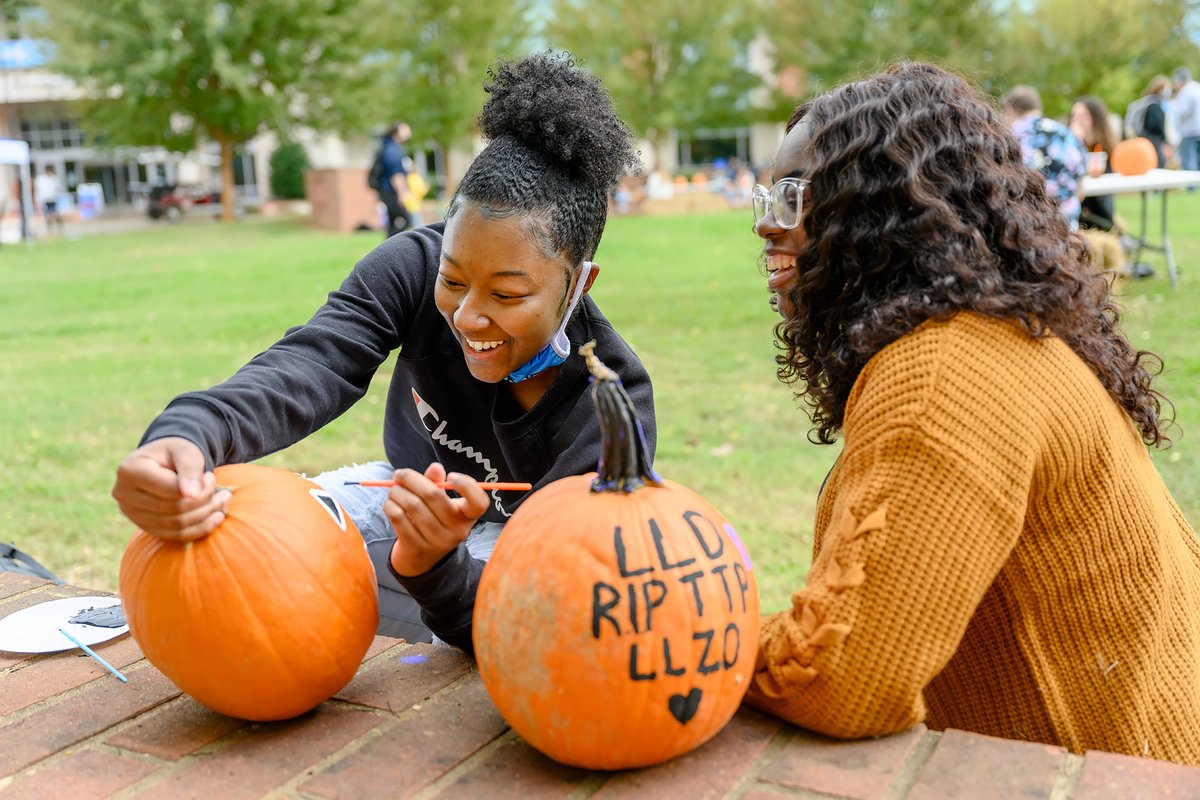 MTSU's tweet photo. Pumpkin goals! 🎃😍🤩 #trueBOO #MTSUHomecoming #mtsu https://t.co/5kTsVpGZ4E
